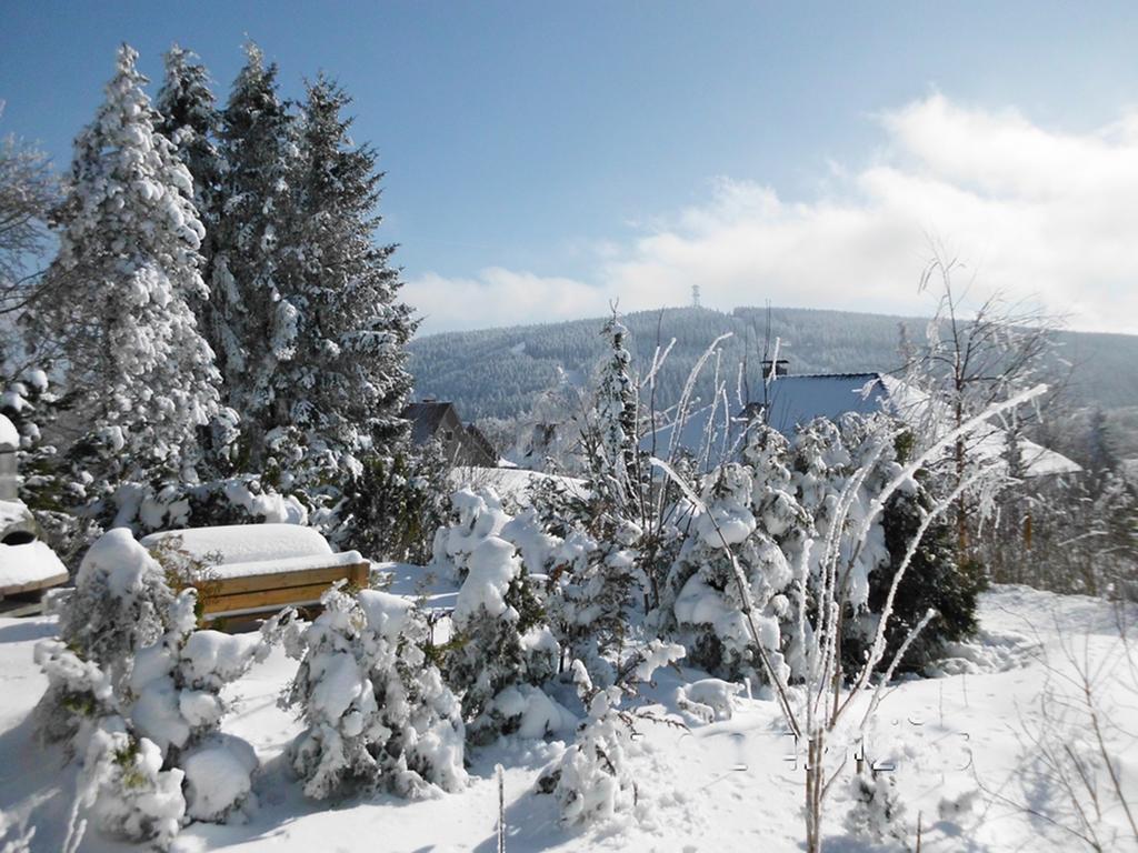 Premium-Ferienwohnungen Bergblick im Haus Hopfe Goslar Exterior foto